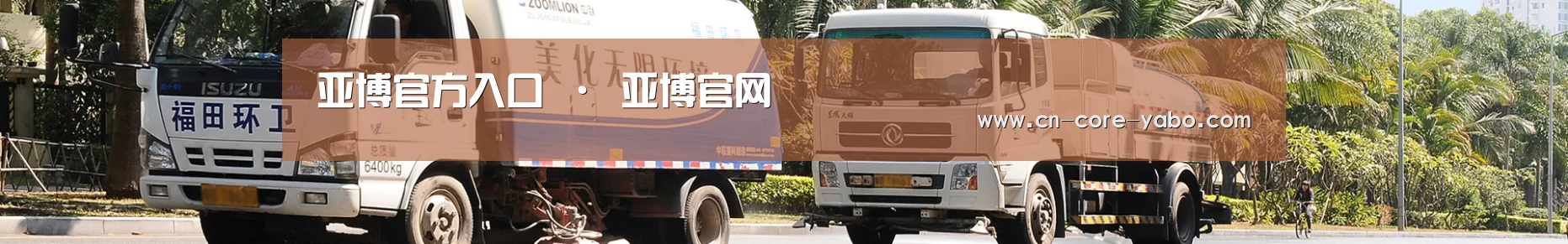 成功案例
