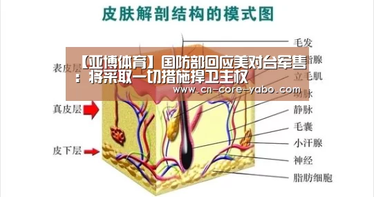 【亚博体育】国防部回应美对台军售：将采取一切措施捍卫主权