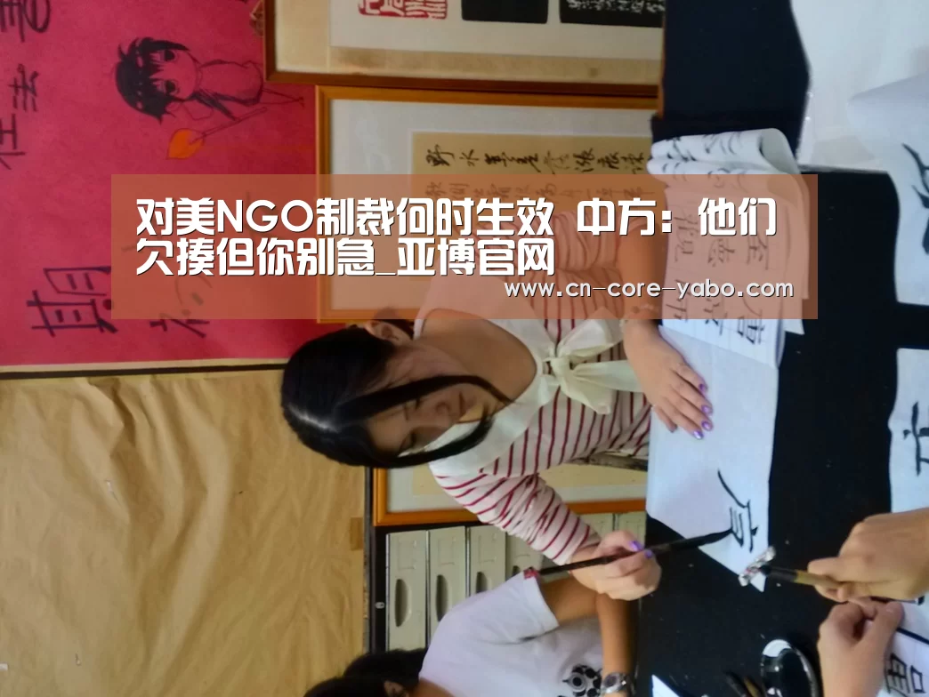 对美NGO制裁何时生效 中方：他们欠揍但你别急_亚博官网